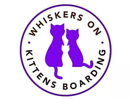 Whiskers on Kittens Boarding